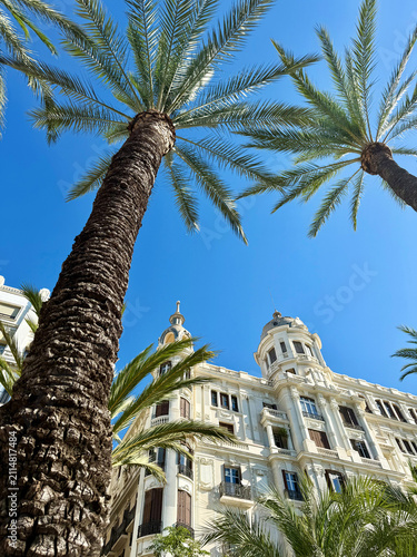 Palm Trees and Historic Building