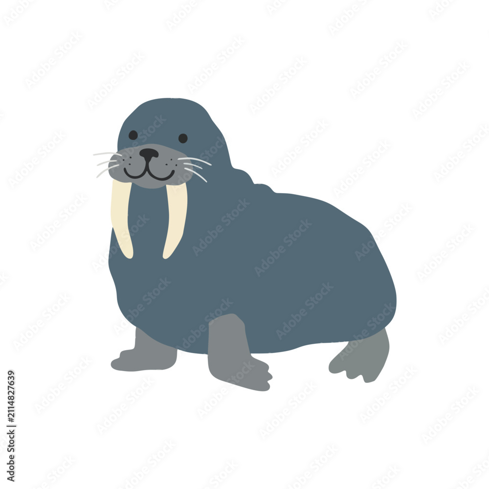 Fototapeta premium Simple Walrus Vector Illustration