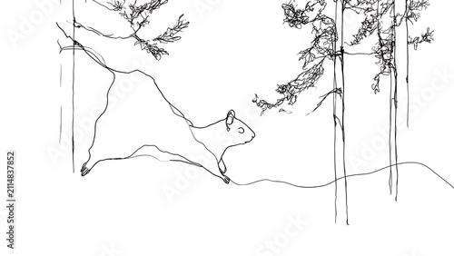 Minimalist line art bear sketch white background.