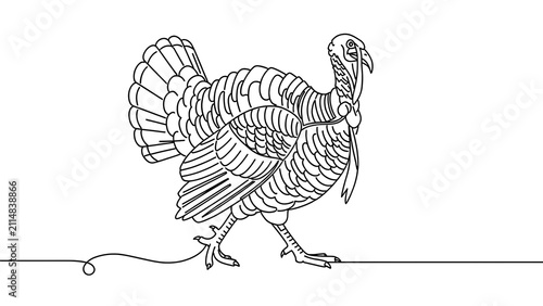 Minimalist turkey line art drawing white background.