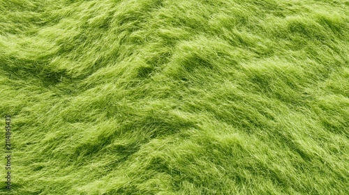 Long green grass texture covering rolling ground surface