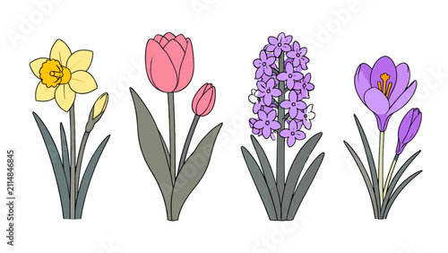 фотографія Vector set of hand drawn spring flowers with isolated stems