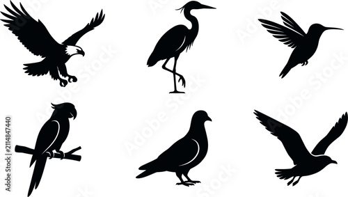 Canvas Print Wild birds black silhouette icon collection featuring flying eagle standing hero