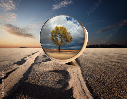 Life Concept. Existence survival . New life and hope concept image.