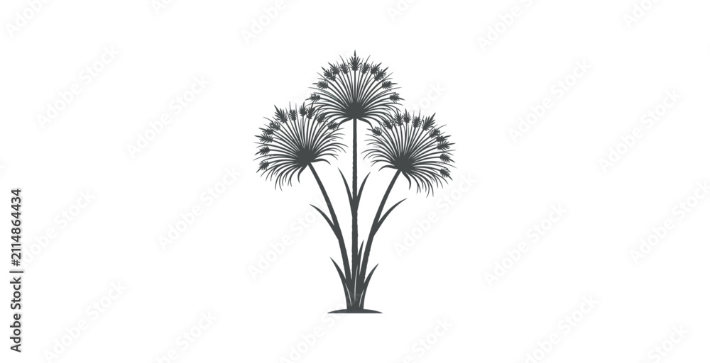 Fototapeta premium Papyrus Plant Minimalist Vector Illustration