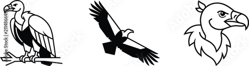 Quadro su tela Vulture vector illustration set featuring modern abstract flying scavenger bird