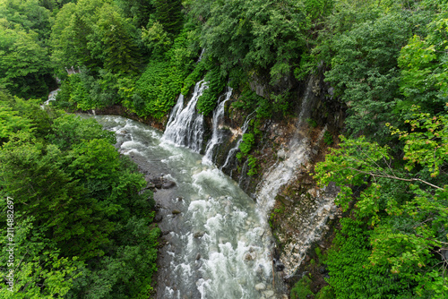 Photography 雨上がりの白ひげの滝と渓流 北海道美瑛町