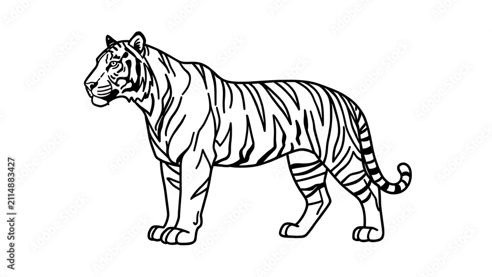 Obraz premium Illustration of a tiger on white background.