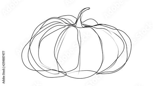 Hand drawn pumpkin sketch on white background.