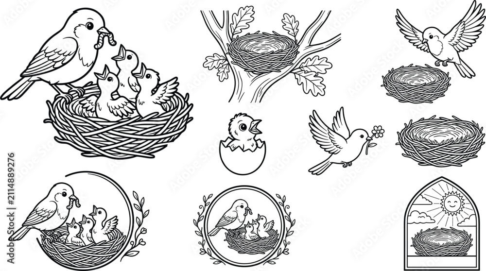 Fototapeta premium Bird Nest Collection with Mother Bird, Baby Chicks, Empty Nest and Spring Nature Line Art Vector SetBird Nest Collection with Mother Bird, Baby Chicks, Empty Nest and Spring Nature Line Art Vector Set