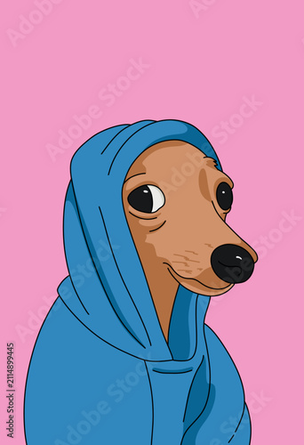 Vector illustration of a Cute Brown Dog Wrapped up in a Cozy Blue Hoodie against Pink Background