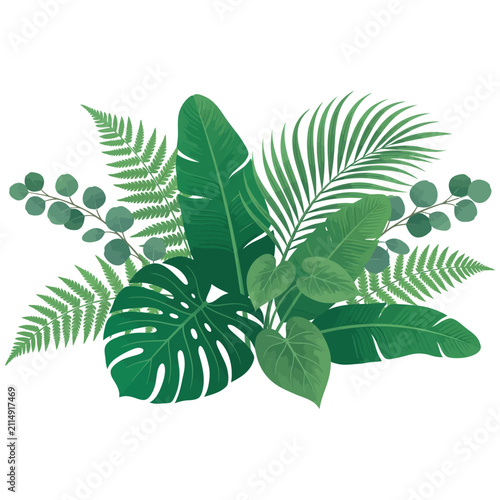 Tropical foliage bouquet with monstera and fern leaves in bright daylight