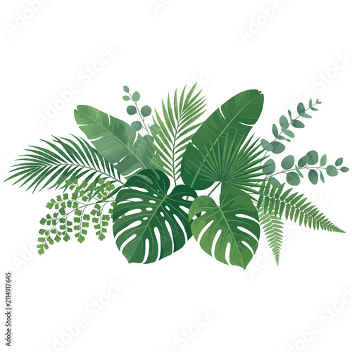 Lush green tropical foliage arrangement with monstera and fern leaves against a white background in a botanical style