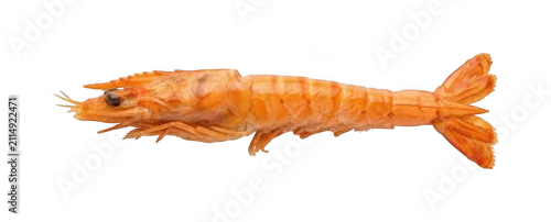 Panel kuchenny z motywem Cooked orange shrimp png boiled prawn cutout fresh seafood shrimp png single whole prawn cutout healthy protein shrimp png delicious isolated transparent background image