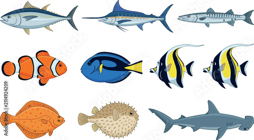 Foto Colorful Tropical and Ocean Fish Collection Vector Set Featuring Marine Species,