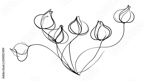 Minimalist line art flowers white background.