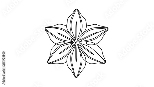Elegant line art flower illustration white background.