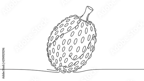 Soursop fruit line drawing white background.