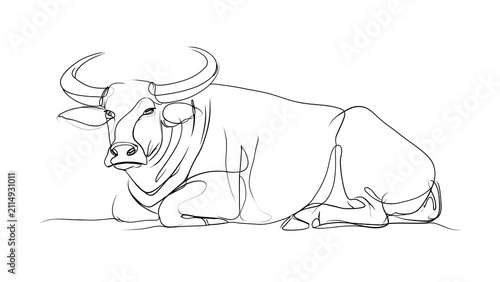 Resting bull sketch on white background.