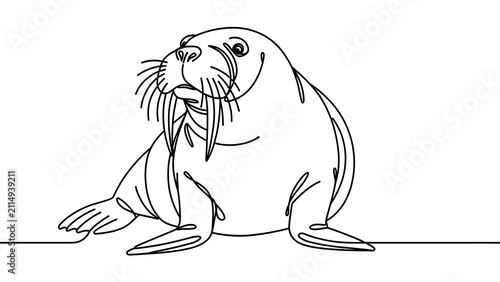 Walrus illustration on white background.