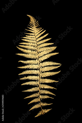 Принти на полотні Gold fern leaf flora symbol isolated on black background, Nature zen design for decorative purposes, logo, greeting card
