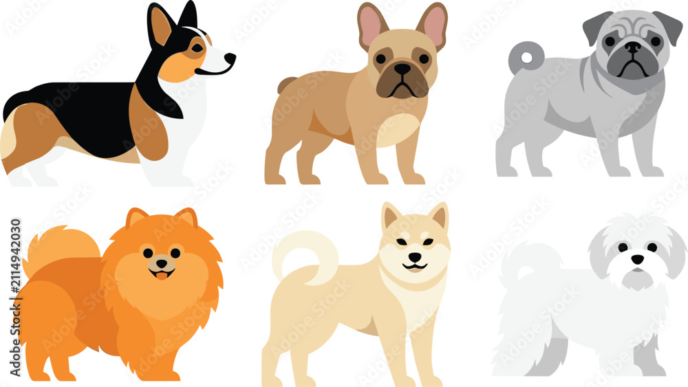 Fototapeta premium Flat vector set of small dog breeds including corgi french bulldog pug shiba inu and pomeranian