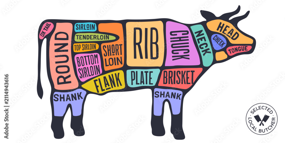 Obraz premium Cow, Beef, hand-drawn butcher cuts meat guide. Color butcher beef chart cow silhouette scheme, beef cuts chart butcher shop poster diagram, meat guide beef cuts chart. Vector illustration