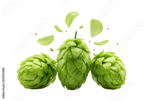 extreme macro of three fresh emerald green hop flower cones (*humulus lupulus*) with microscopic, dew-kissed texture, isolated on transparent. floating bracts suggest flavor release. concept for