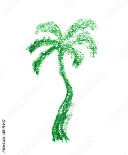 Palm tree sketch icon, coconut palm doodle illustration