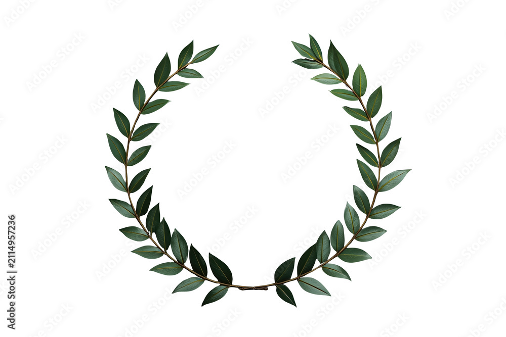 Obraz premium Minimal green laurel wreath with open top isolated