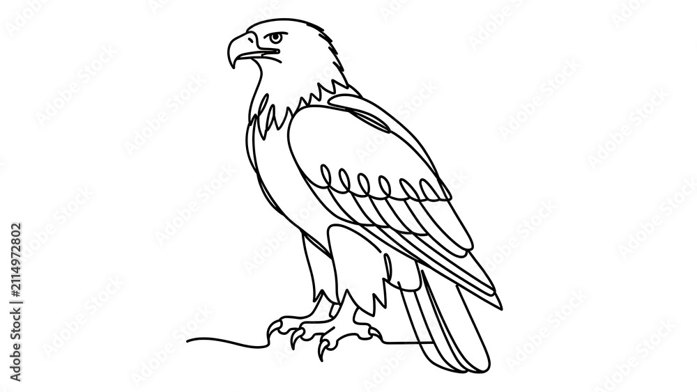 Naklejka premium Bald eagle line drawing illustration white background.
