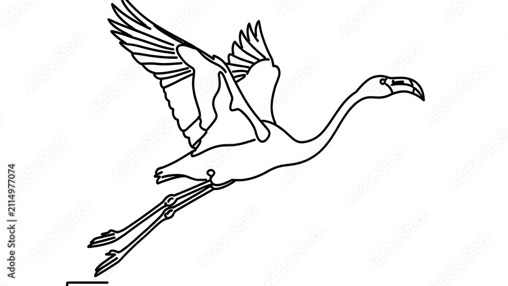 Fototapeta premium Flamingo birds flying illustration white background.