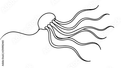 Minimalist jellyfish illustration white background.