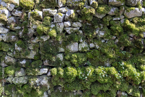 Green moss on stone wall from the Peak District.