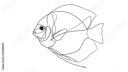 Line art fish illustration on white background.