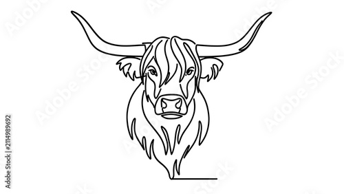 Highland cow head illustration white background.