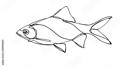 Simple line drawing of a fish on white background.