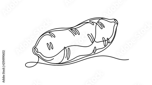 Simple line drawing of a fish on white background.