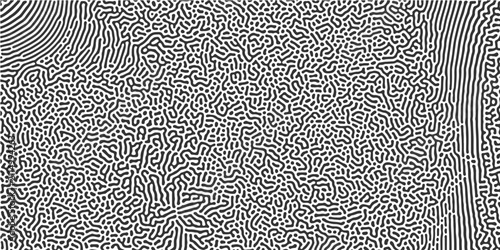 Фотография Organic seamless patterns with rounded lines Diffusion reaction background