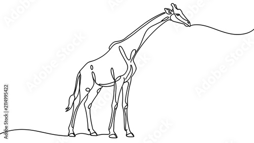Minimalist giraffe line art on white background.