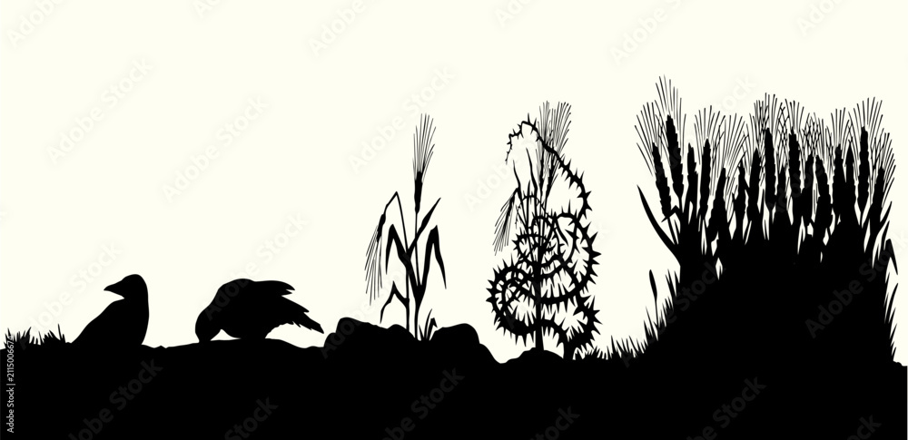 Obraz premium Vector drawing. Old wheat field. Biblical parable