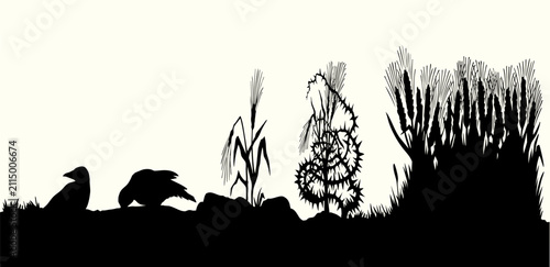 Canvastavla Vector drawing. Old wheat field. Biblical parable