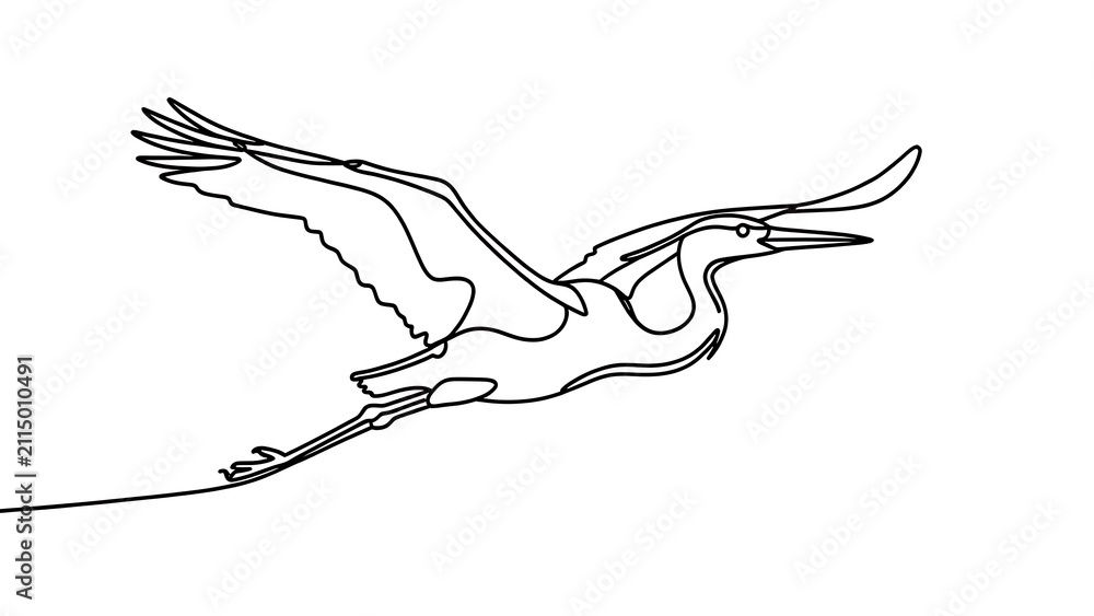 Fototapeta premium Elegant heron in flight white background.