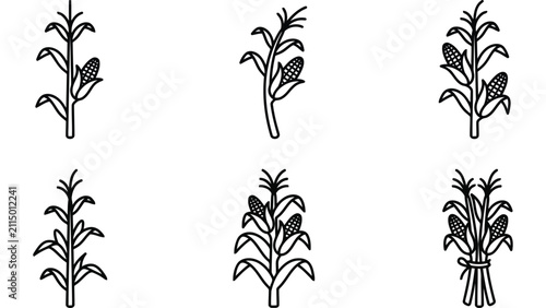 Bild auf Leinwand Corn stalk icons set