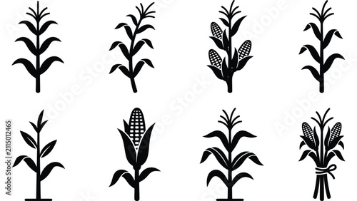Foto Corn plant icons set