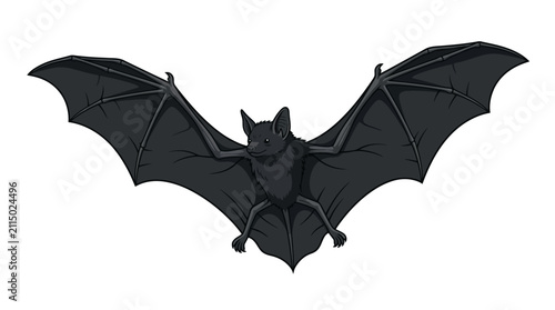 Obraz na plátně Illustration of a black bat with outstretched wings, depicted in a stylized, front-facing pose against a stark white background