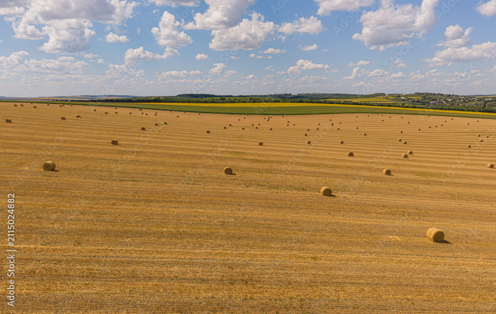 Obraz premium Straw bales on harvested wheat field top down drone view, aerial high angle agricultural harvest concept
