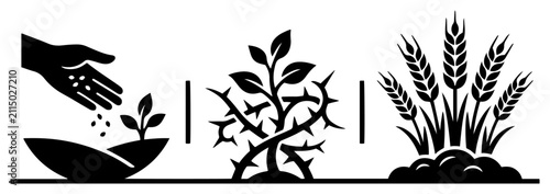 Konstfotografi Parable of the sower biblical illustrations with seeds and thorns in black vecto