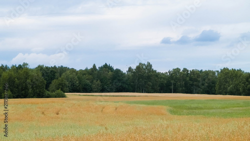 Clouds over field in Kashubia.