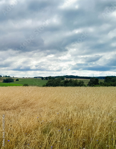 Dark clouds over field in Kashubia